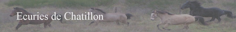 Ecuries de Chatillon
